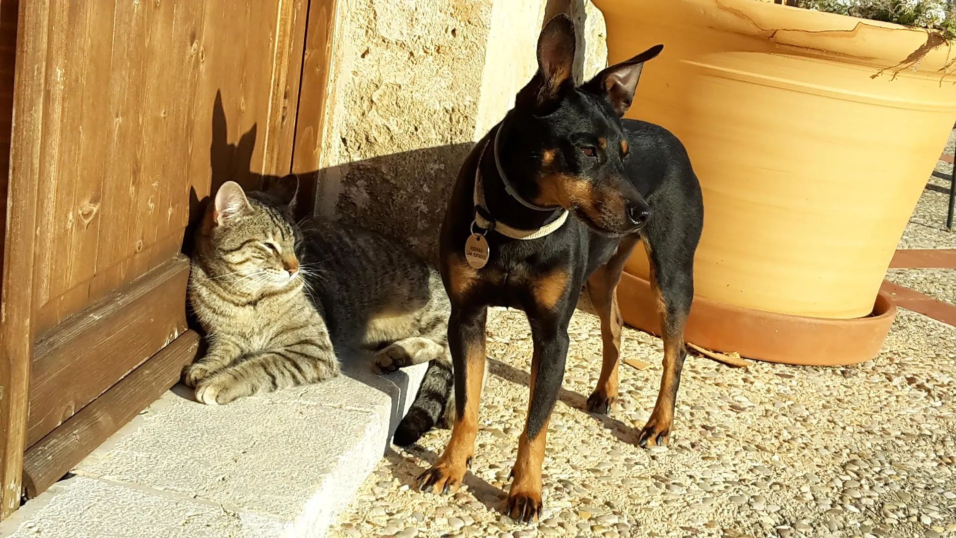 Hotel Finca Can Estades Calvia