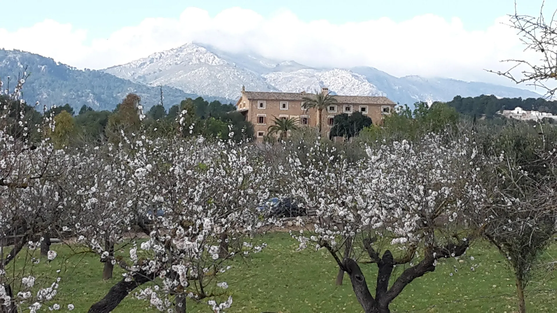 Finca Can Estades Calvia  4*, Calvia (Mallorca)