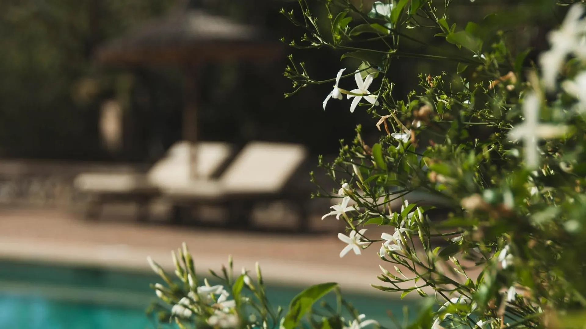 Finca Can Estades Calvia  4*, Calvia (Mallorca) Spanje